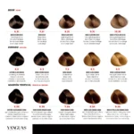 yanguas professional hair color