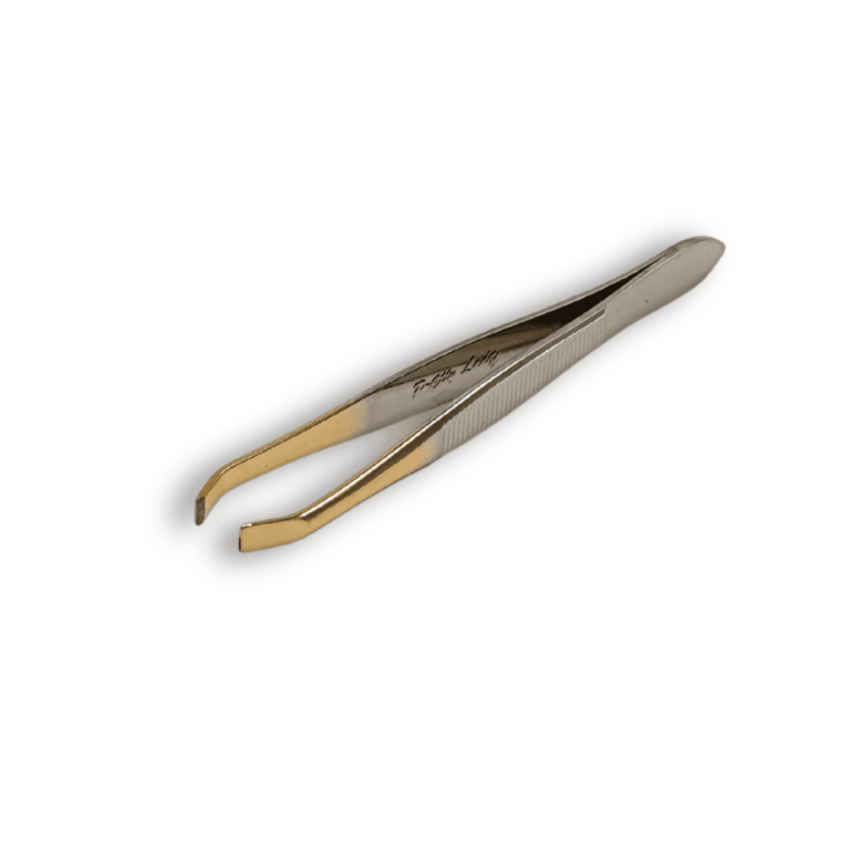 tw364 2 scaled 1.png